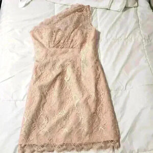 Jim Hjelm One Shoulder Blush Dress